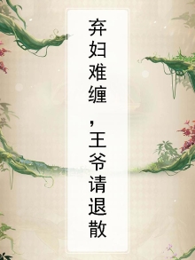 弃妇难缠，王爷请退散