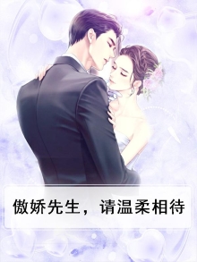 傲娇先生，请温柔相待