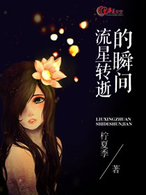 转瞬即逝的流星雨