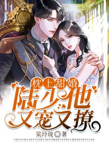 枕上婚宠唐少撩妻有一套