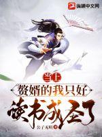 赘婿当道是什么意思