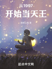从1997开始当天王小说