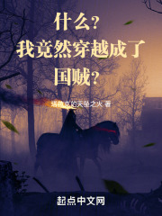 穿越成了国家