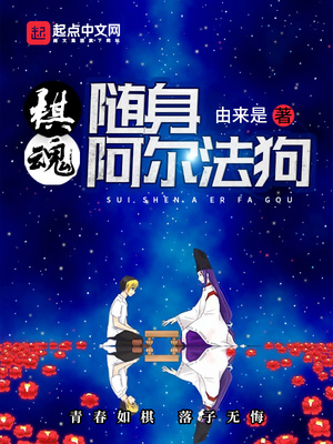 棋魂,随身阿尔法狗