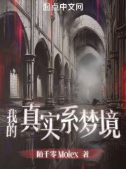 我的真实系梦境