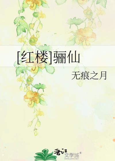小说红楼兵仙