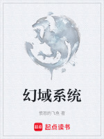 幻域王者这车怎么样