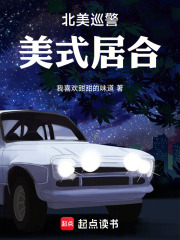 北美巡警:美式居合小说