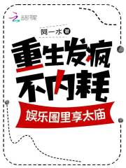 重生娱乐圈风暴
