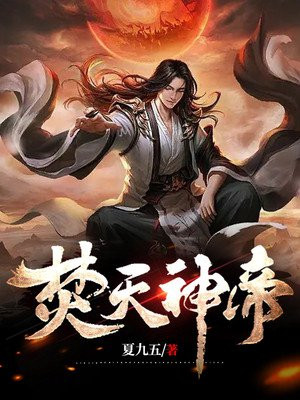 焚天神帝霍丙小说阅读