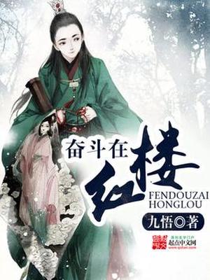 奋斗在红楼百度云