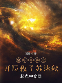 全职高手之开局救了苏沐秋小说