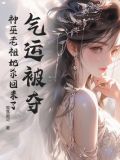 穷人走投无路魂断张家界