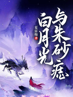 白月光与朱砂痣歌词