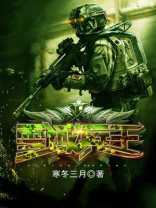 雪域兵王小说