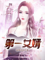 第一女婿傅平和李艳