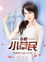 乡村小草民 小说
