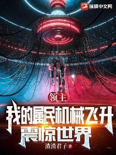 我的领主系统笔趣阁