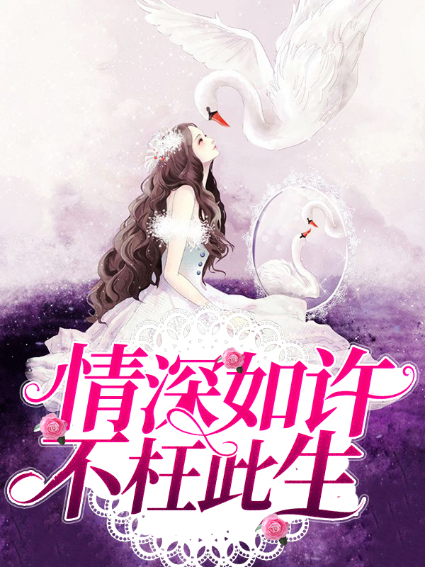 情深不枉此生 小说