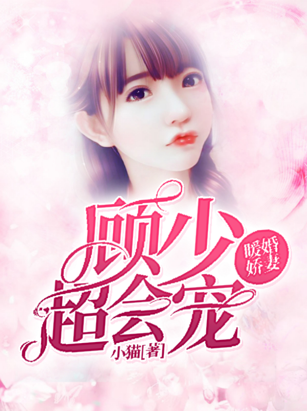 暖婚撩人,顾少宠妻上瘾 小说