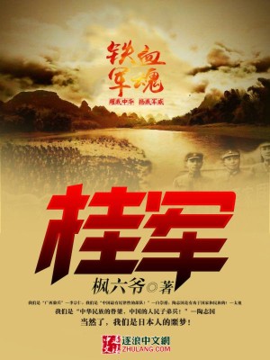 桂军战斗力排名第几