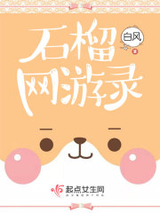 石榴网游录