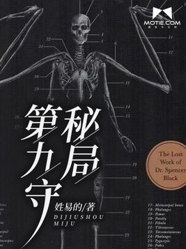 第九守秘局