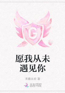愿我从未遇见你