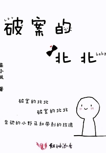 破案的北北