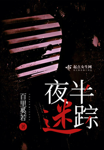 夜半迷宫