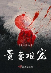 贵妻54章