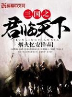 三国之君临天下 烟火忆安