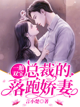 一胎双宝总裁的落跑娇妻免费阅读