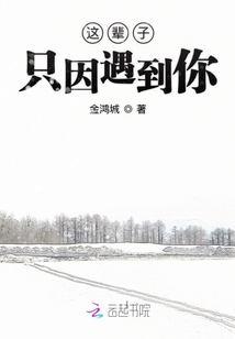 这辈子只因遇到你