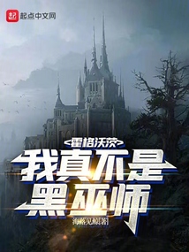 混入霍格沃茨的黑巫师插班生小说