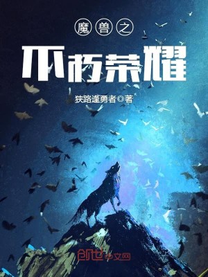 魔兽之不朽荣耀 小说