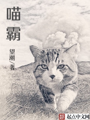 喵霸TXT