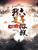 西游六耳猕猴的小说