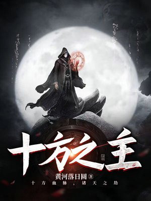 十方之主小说