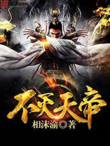 不灭天帝 小说
