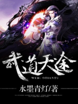 武道天途