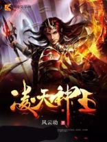 凌天神王小说免费阅读