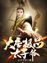 大唐极品太子爷免费下载小说公子