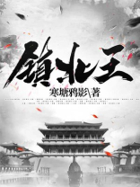 镇北王
