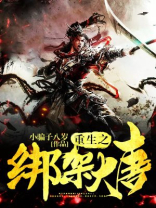 大唐从绑架开始飞卢
