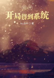 开局获得铠甲的小说