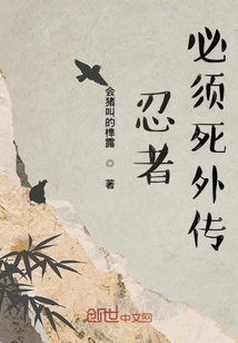 忍者必须死外传,火舞