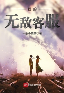 我的无敌客服