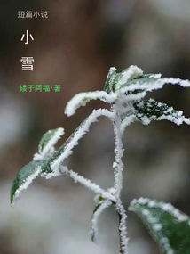 短篇小说：小雪
