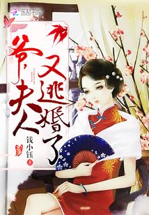 爷,夫人又逃婚了免费阅读无弹窗